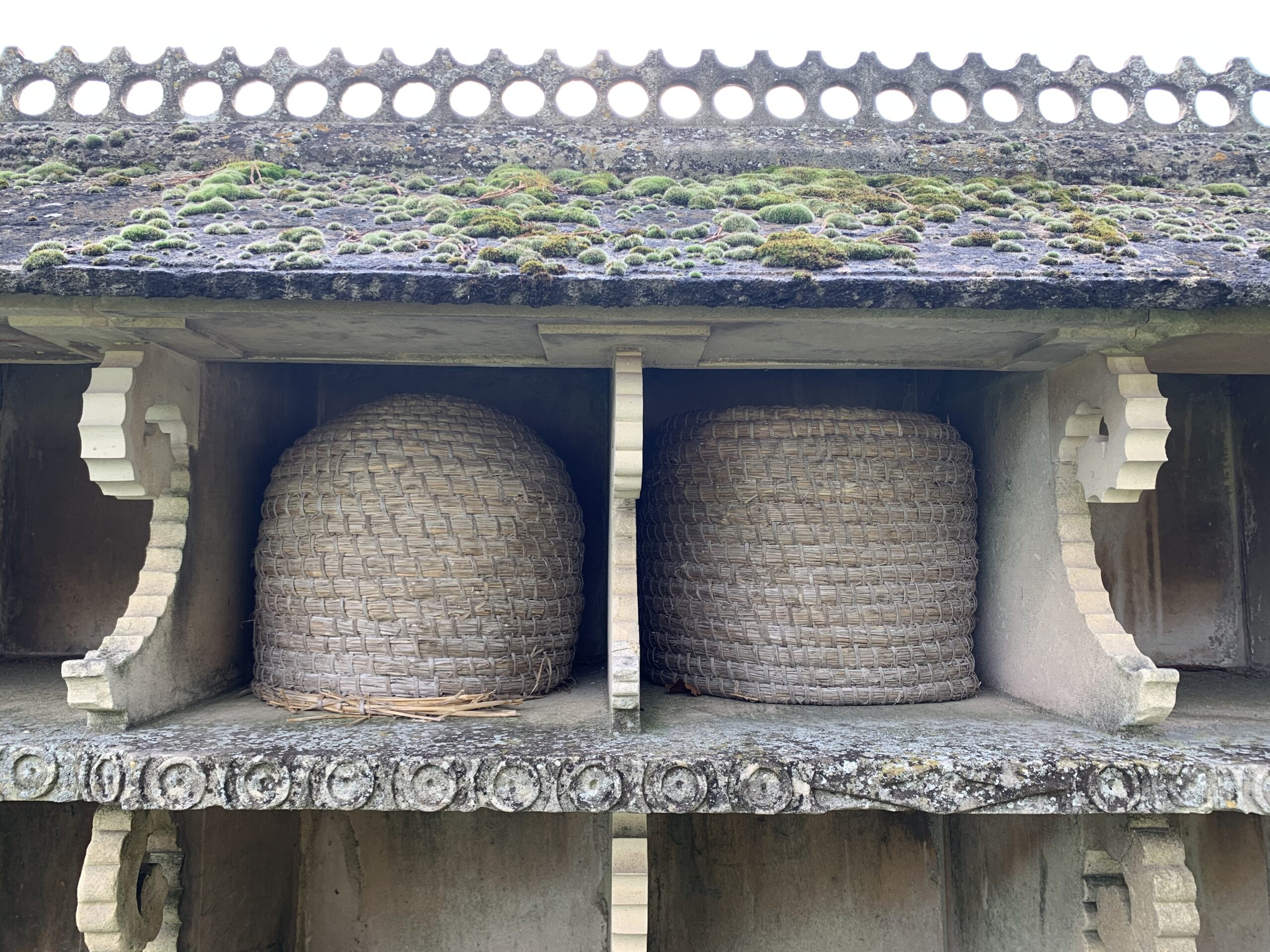 wicker skeps