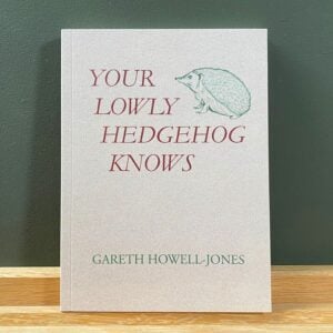 Your Lowly Hedgehog Knows by Gareth Howell-Jones - Image 1