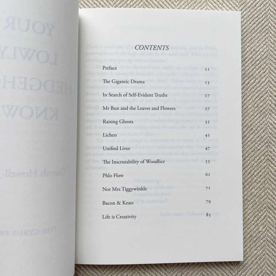 Your Lowly Hedgehog Knows by Gareth Howell-Jones - Image 3