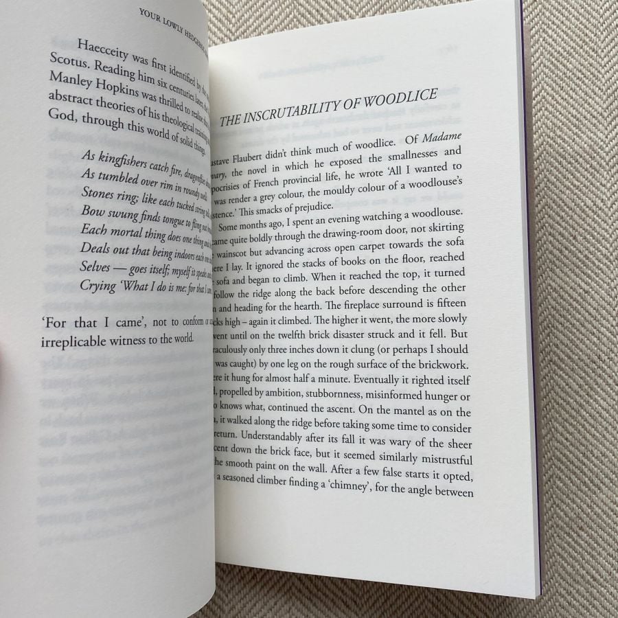 Your Lowly Hedgehog Knows by Gareth Howell-Jones - Image 4