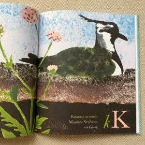 Near the Bear North by Mick Manning - Image 2