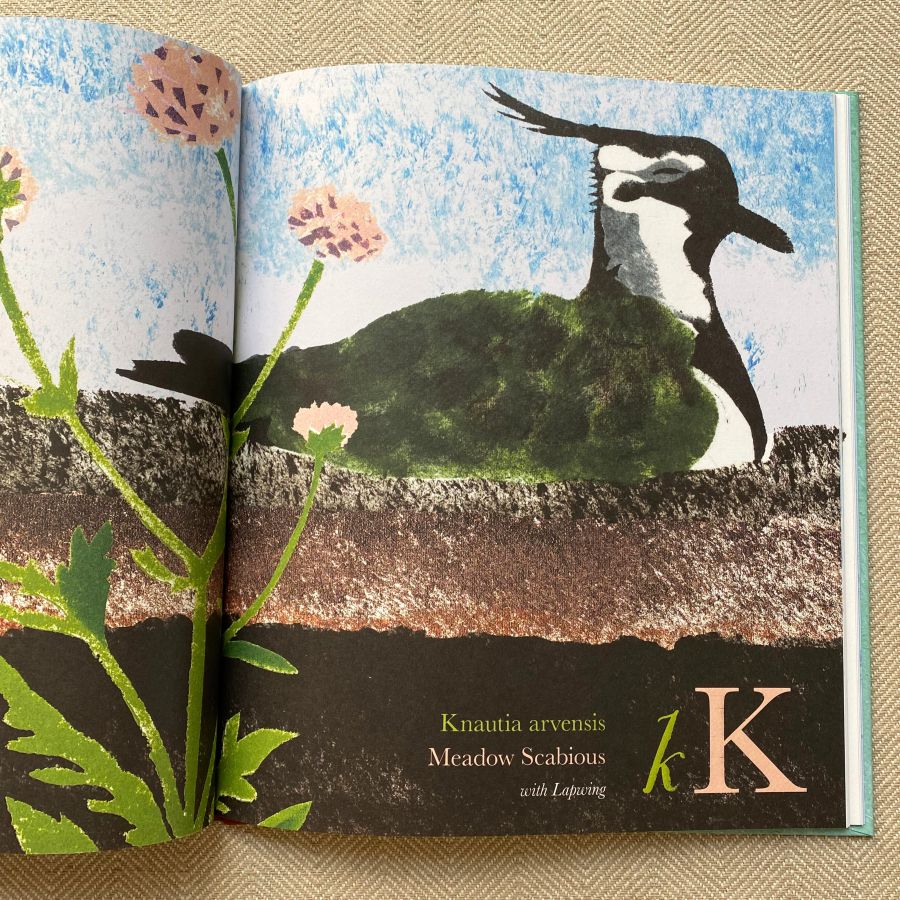 Near the Bear North by Mick Manning - Image 2