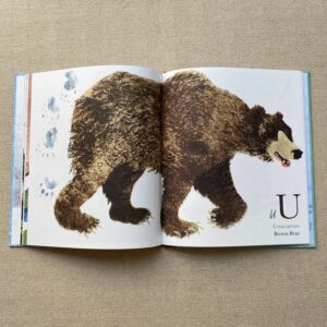 Near the Bear North by Mick Manning - Image 3