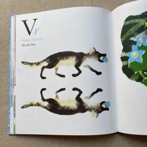 Near the Bear North by Mick Manning - Image 4