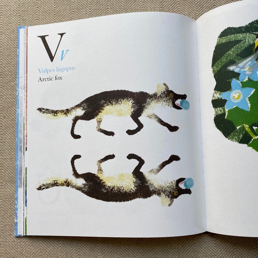 Near the Bear North by Mick Manning - Image 4