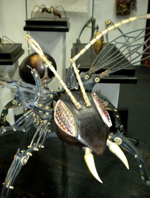 Insect by Niki Burns