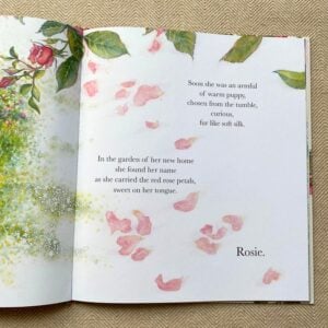 The Summer Puppy by Jackie Morris and Cathy Fisher - Image 3