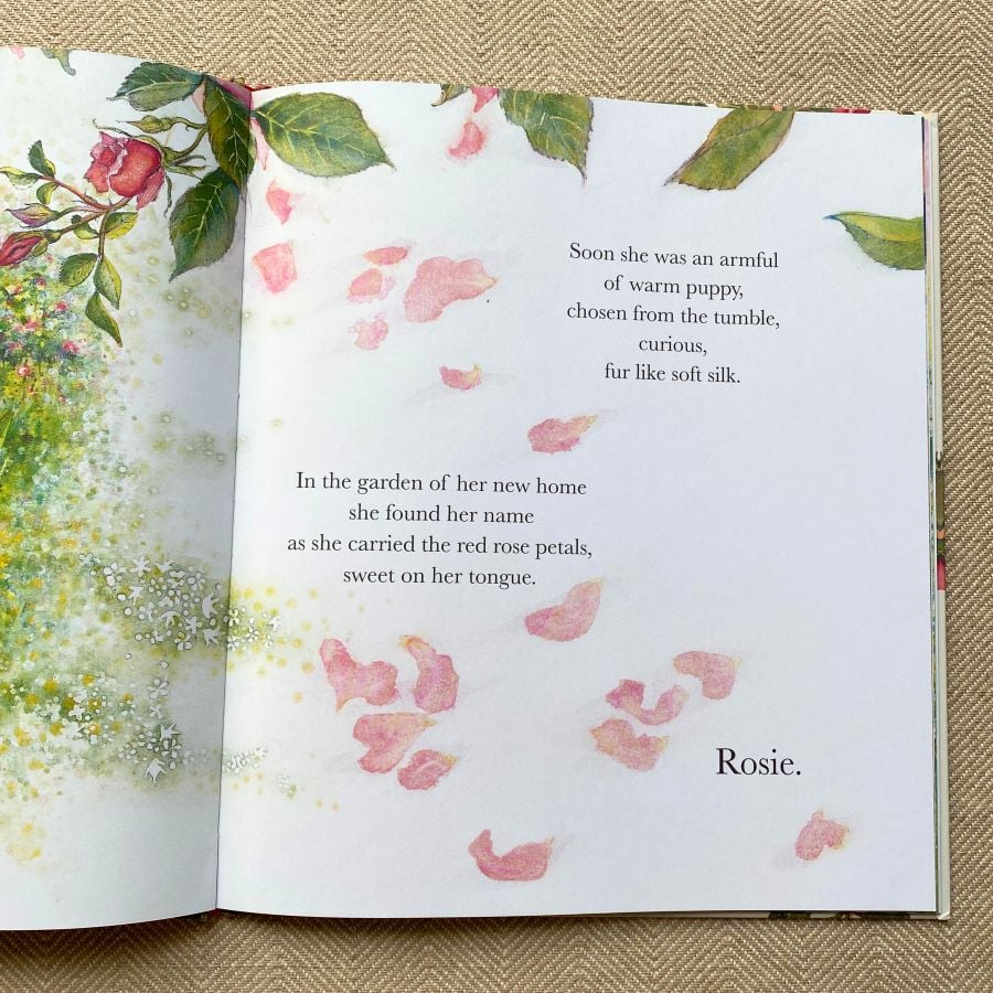 The Summer Puppy by Jackie Morris and Cathy Fisher - Image 3