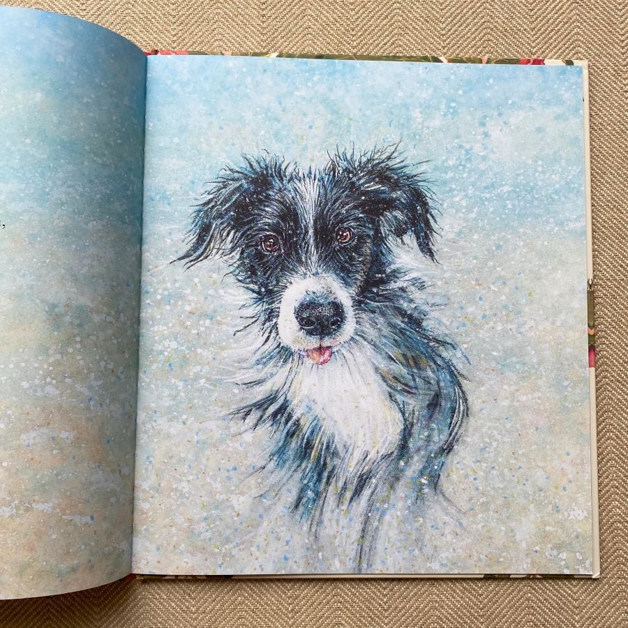 The Summer Puppy by Jackie Morris and Cathy Fisher - Image 5