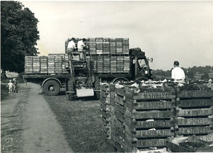 Stacking the crates