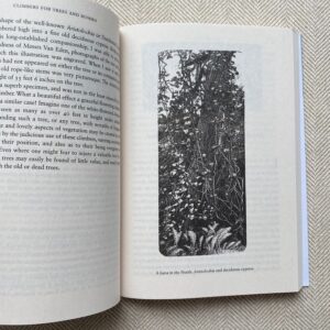 The Wild Garden by William Robinson - Image 2