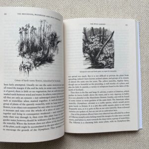 The Wild Garden by William Robinson - Image 4