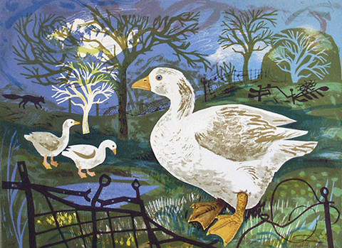 Spring Life – Mark Hearld & Paul Young