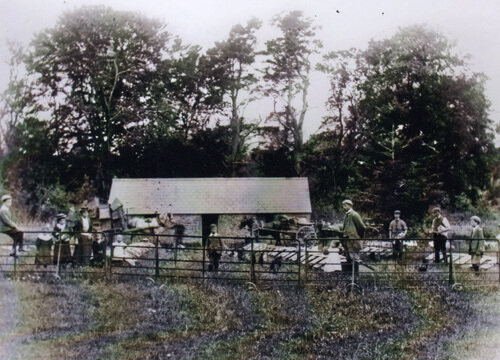 Pheasant rearing pens at Glanusk Rearing Pheasants at Glanusk