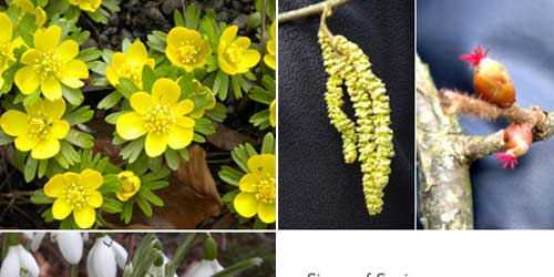 Signs of Spring