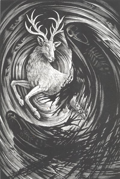 Bloomsbury's Harry Potter and the Order of the Phoenix