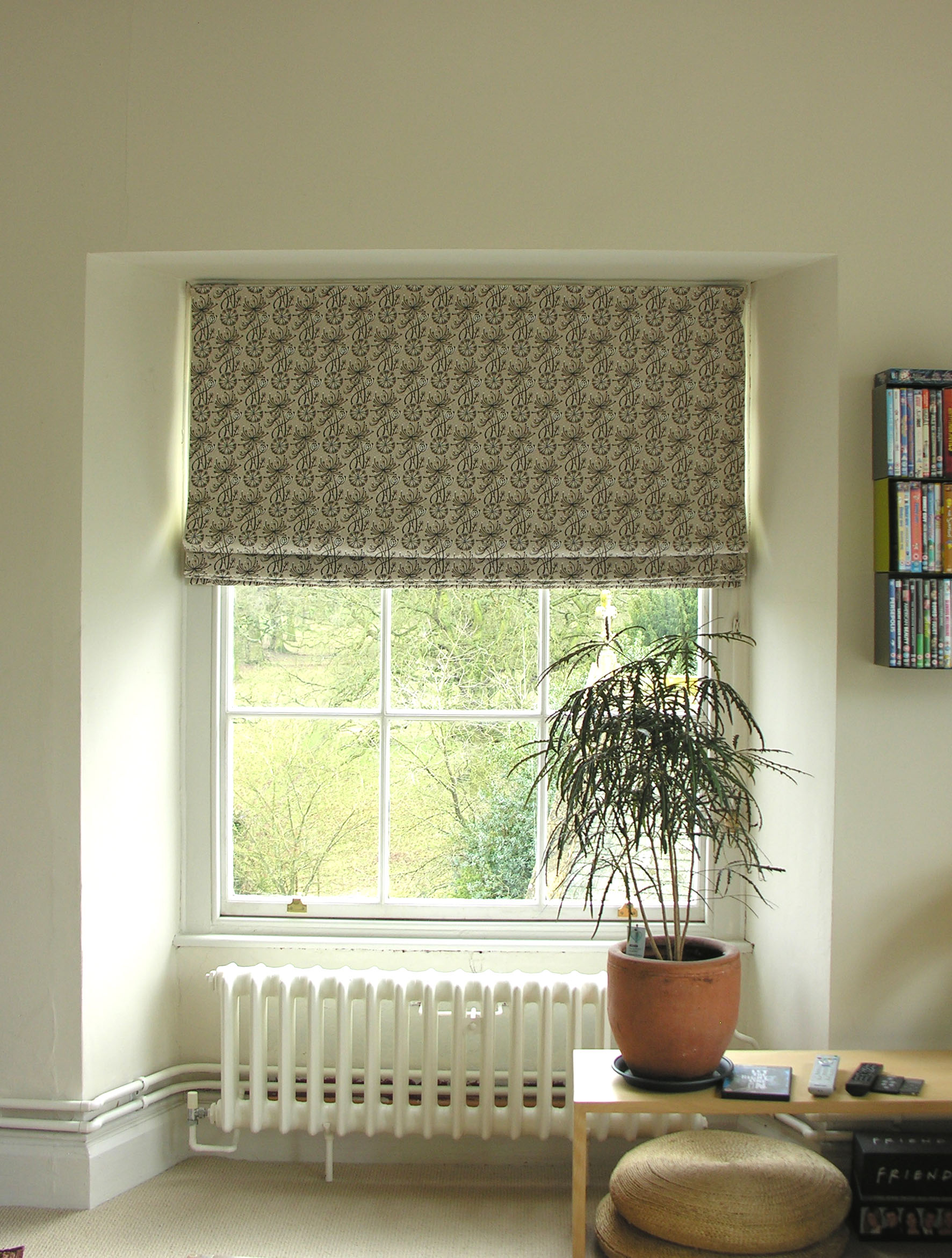 Tinsmiths Roman Blind St Judes Dandelion