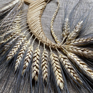 Corn Dolly - Asymmetrical Black Border Fan CWW11 - Image 2