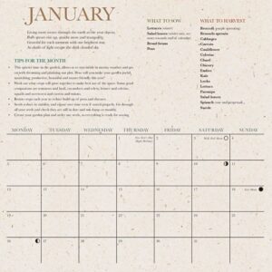 Isla Middleton Growing Year Calendar 2026 Tinsmiths Ledbury