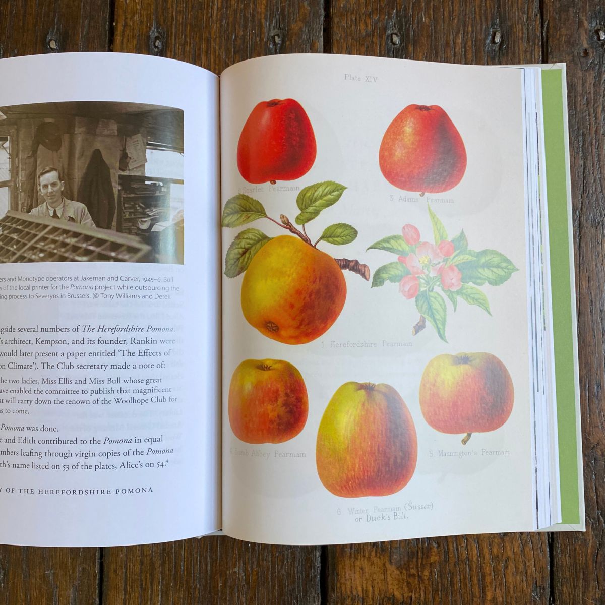 Herefordshire Pomona Book Bill Laws Tinsmiths Ledbury