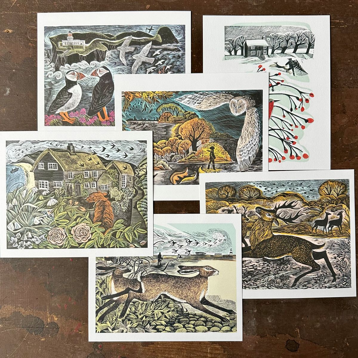 Angela Harding Postcards Seasonal Animal Prints Tinsmiths Ledbury