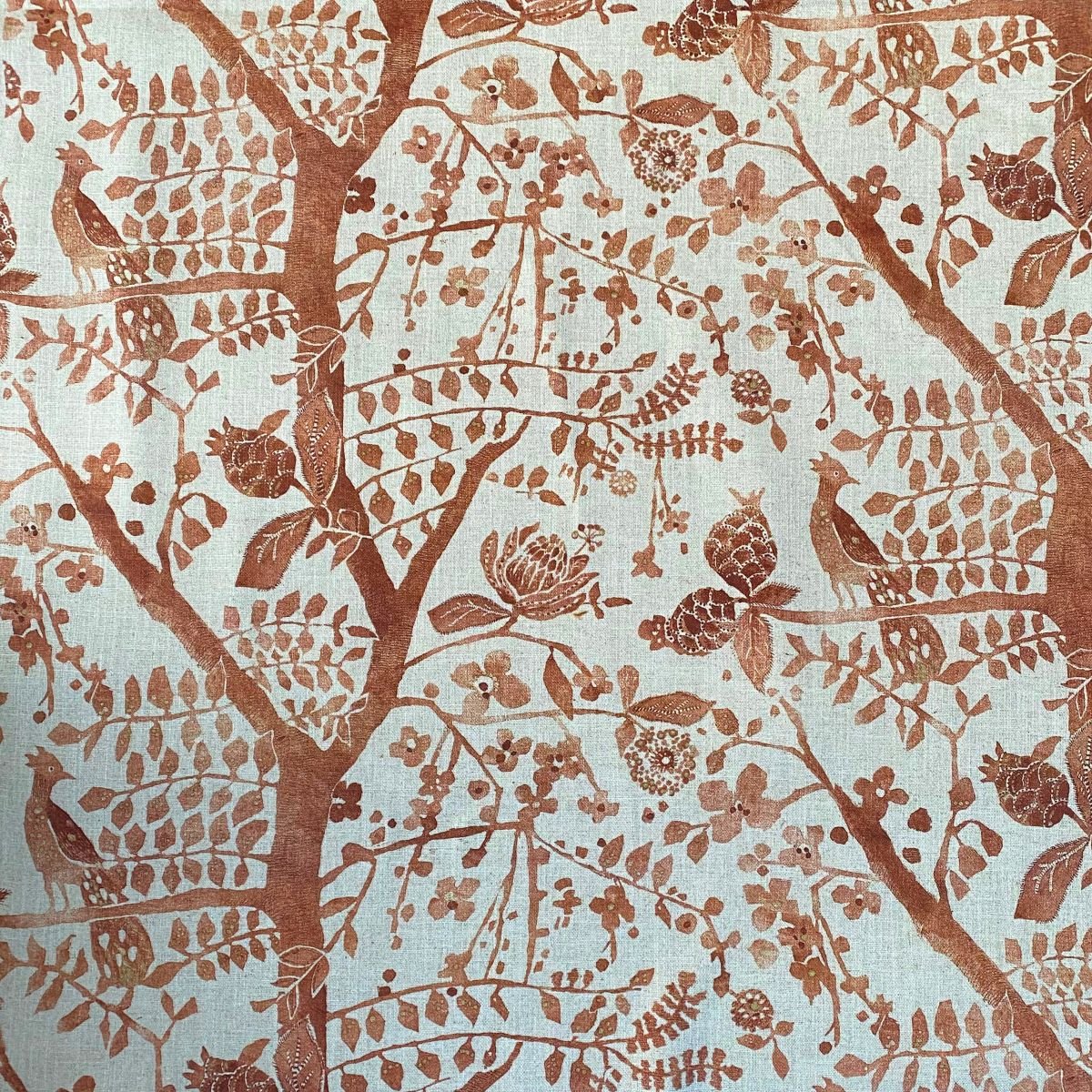 Extra Wide Oxiana Burnt Umber - Image 2