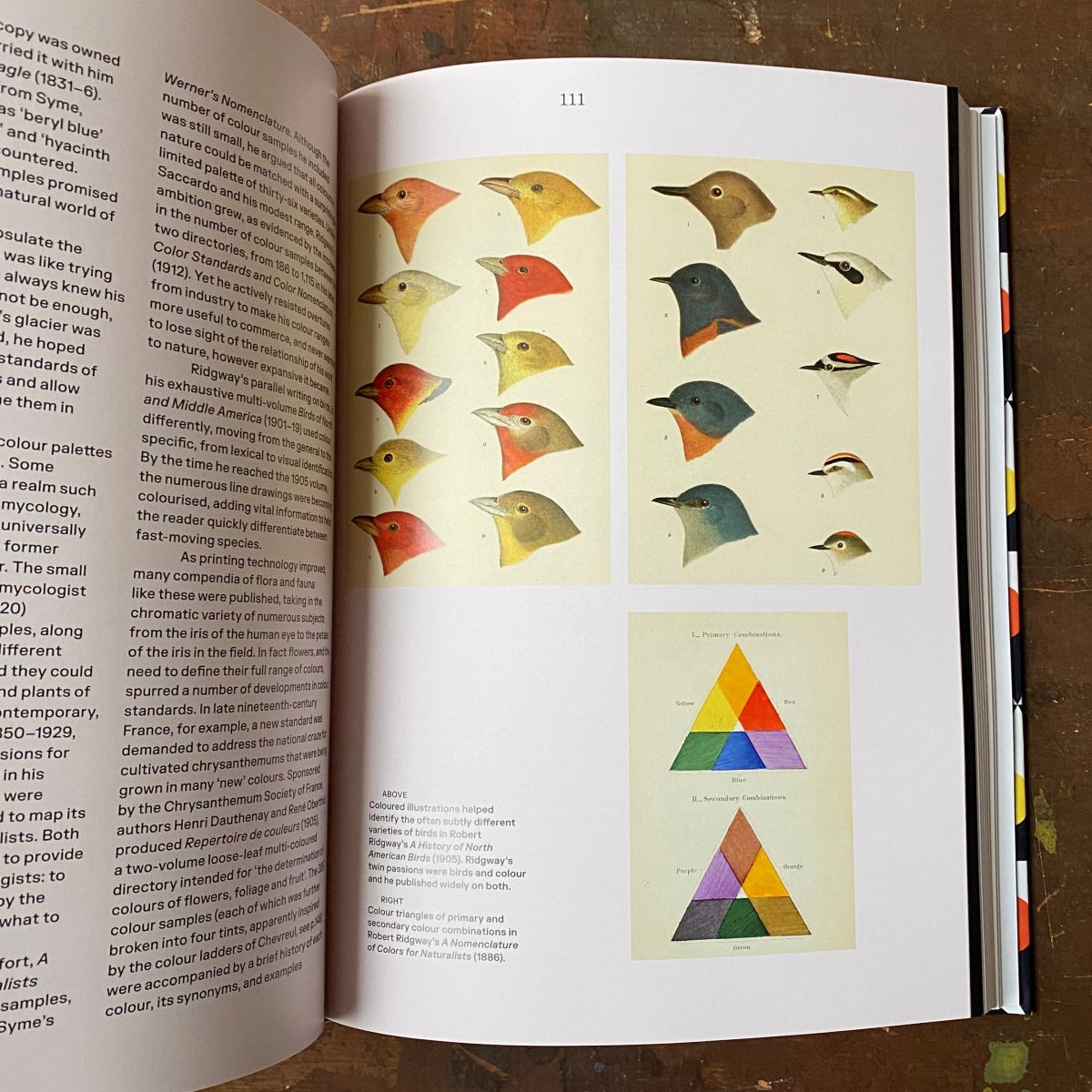The History of Colour book open at page of colourful bird heads