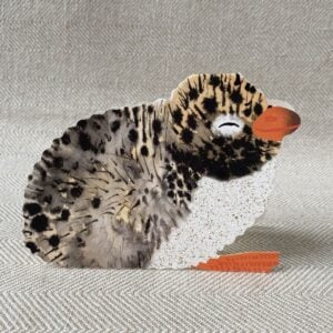 Folding greetings card with an arctic tern chick illustration