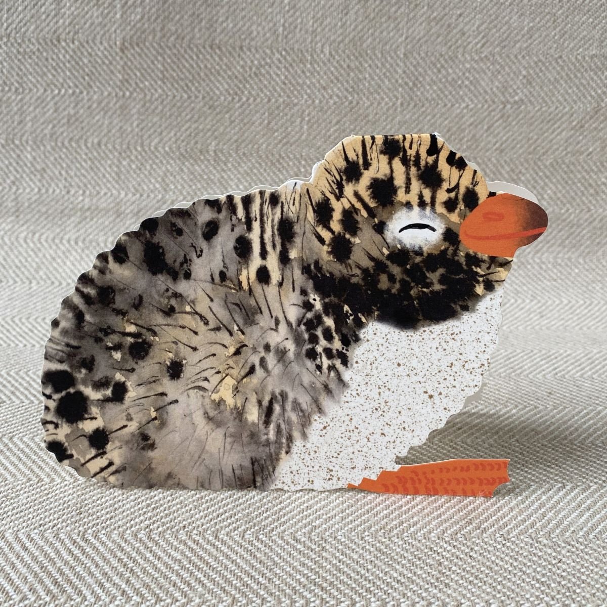 Folding greetings card with an arctic tern chick illustration