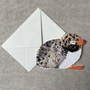 Folding greetings card with an arctic tern chick illustration