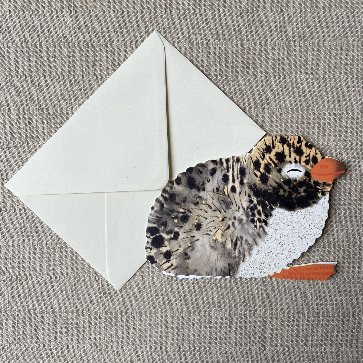 Folding greetings card with an arctic tern chick illustration