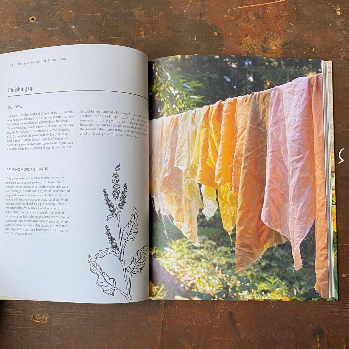 The Natural Dye Handbook by Heidi Iverson - Image 5