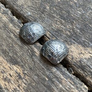 Silver earrings on wooden background