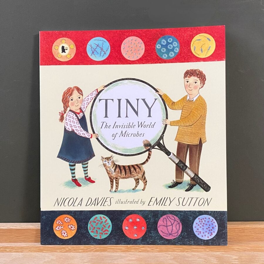 Tiny by Nicola Davies book cover
