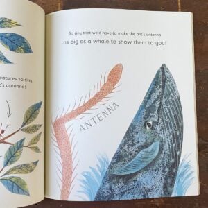 Tiny- The Invisible World of Microbes by Nicola Davies & Emily Sutton - Image 3