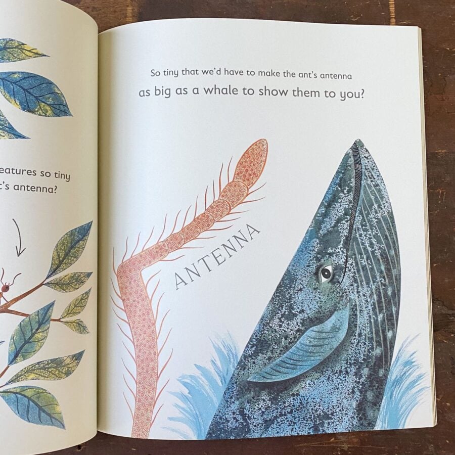 Tiny- The Invisible World of Microbes by Nicola Davies & Emily Sutton