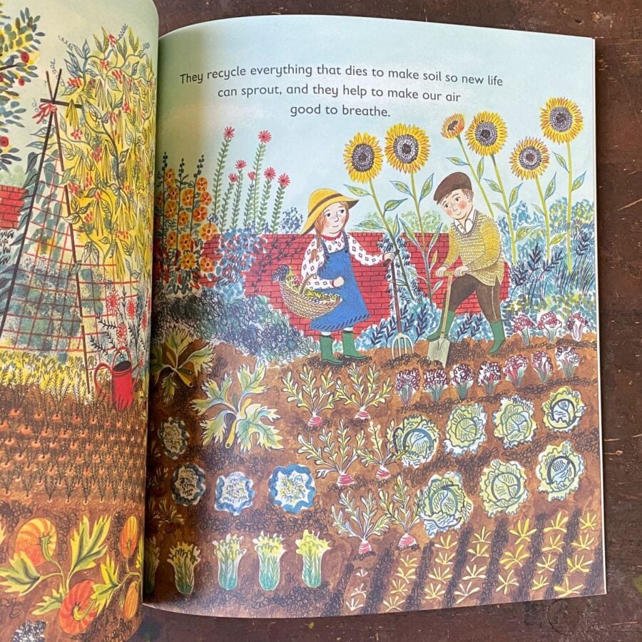 Tiny by Nicola Davies book Illustration