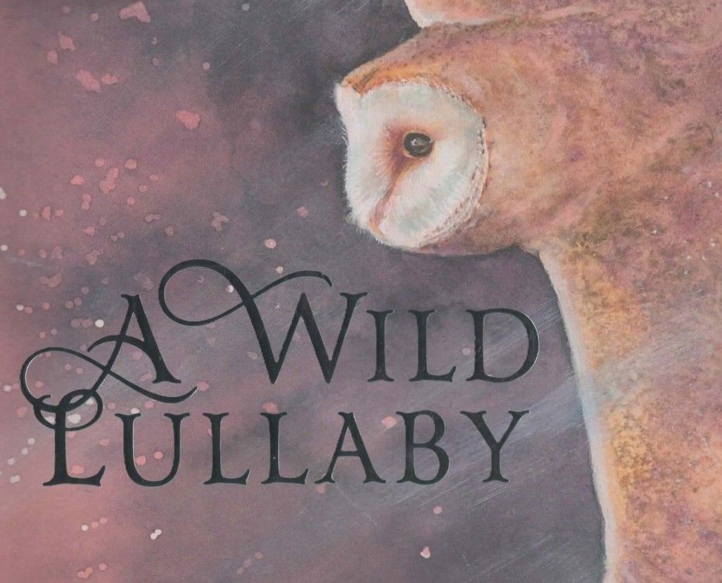 A Wild Lullaby with Jackie Morris & Cathy Fisher