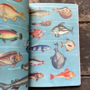 The Curious Collections Sticker Book - Image 3
