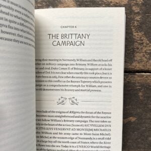 The Story of the Bayeux Tapestry David Musgrove - Image 2
