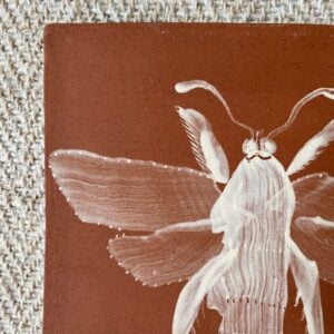 Edmund Davies Illustrated Insect Tile Terracotta EDTT1 - Image 3