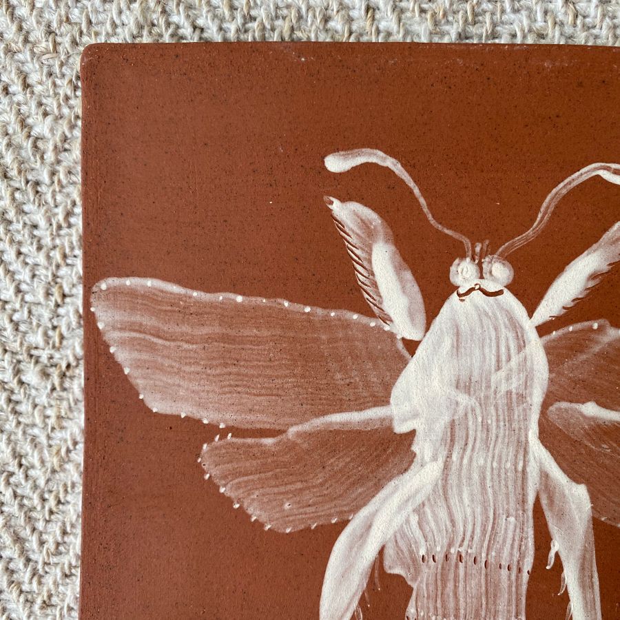 Edmund Davies Illustrated Insect Tile Terracotta EDTT1