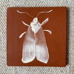 Edmund Davies Iluustrated Tile Terracotta