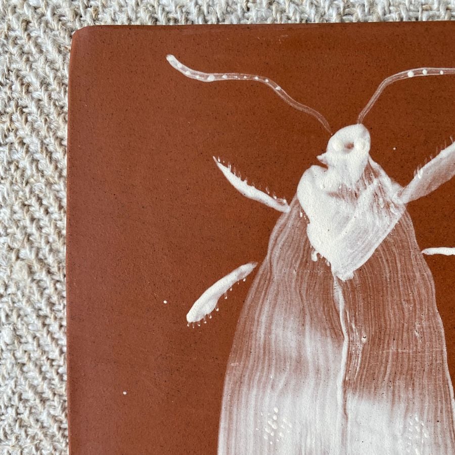 Edmund Davies Illustrated Insect Tile Terracotta EDTT6