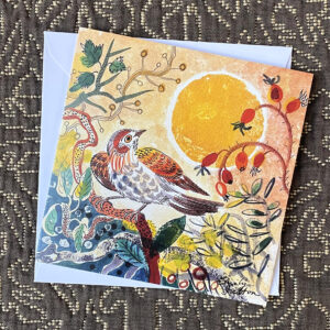 Charity Christmas Card Pack illustrated by Emily Sutton