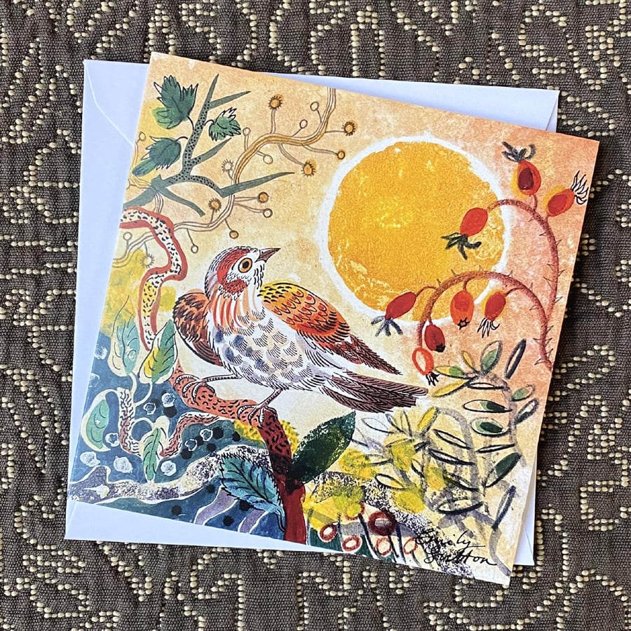 Charity Christmas Card Pack illustrated by Emily Sutton