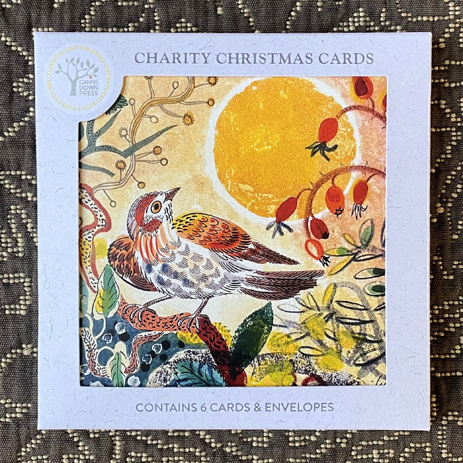Charity Christmas Card Pack illustrated by Emily Sutton