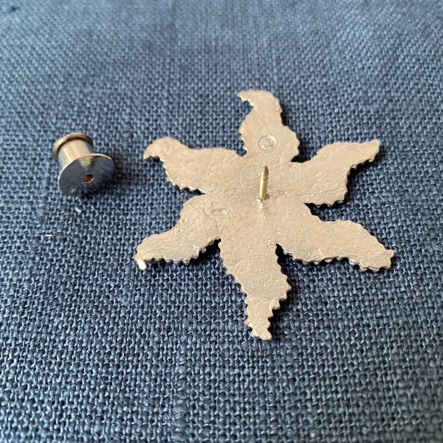 Pilgrim Badge Nativity Star
