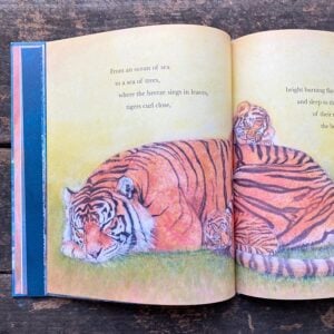 A Wild Lullaby by Jackie Morris and Cathy Fisher - Image 4