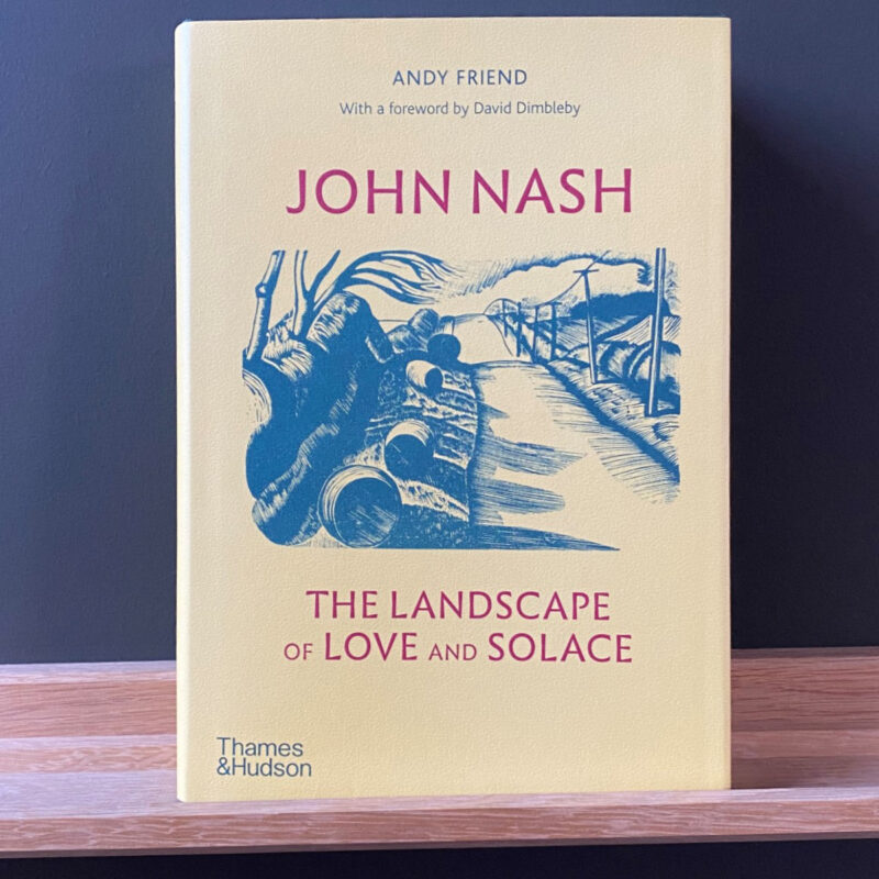 John Nash: The Landscape of Love and Solace by Andy Friend